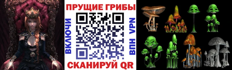 Псилоцибиновые грибы Cubensis Новочеркасск